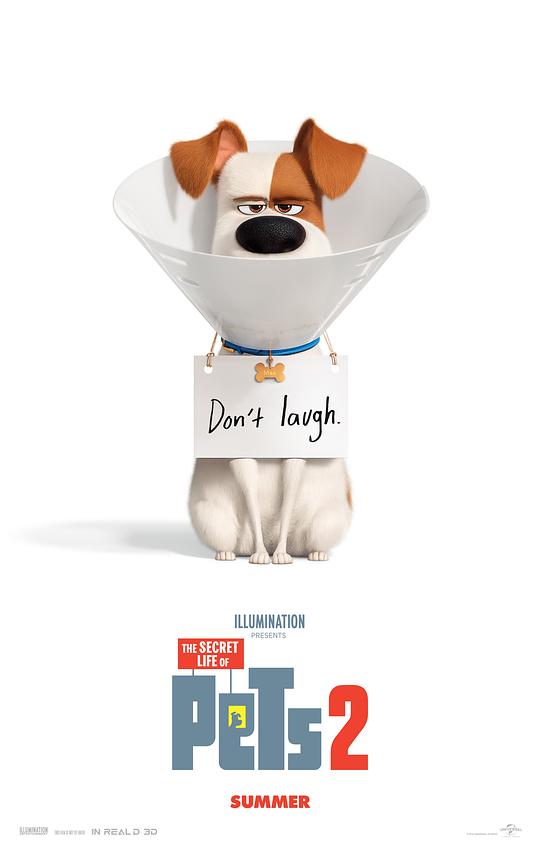 爱宠大机密2 The Secret Life of Pets 2 [2019][7.2分]