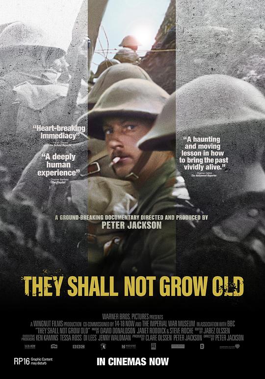 他们已不再变老 They Shall Not Grow Old [2018][8.8分]